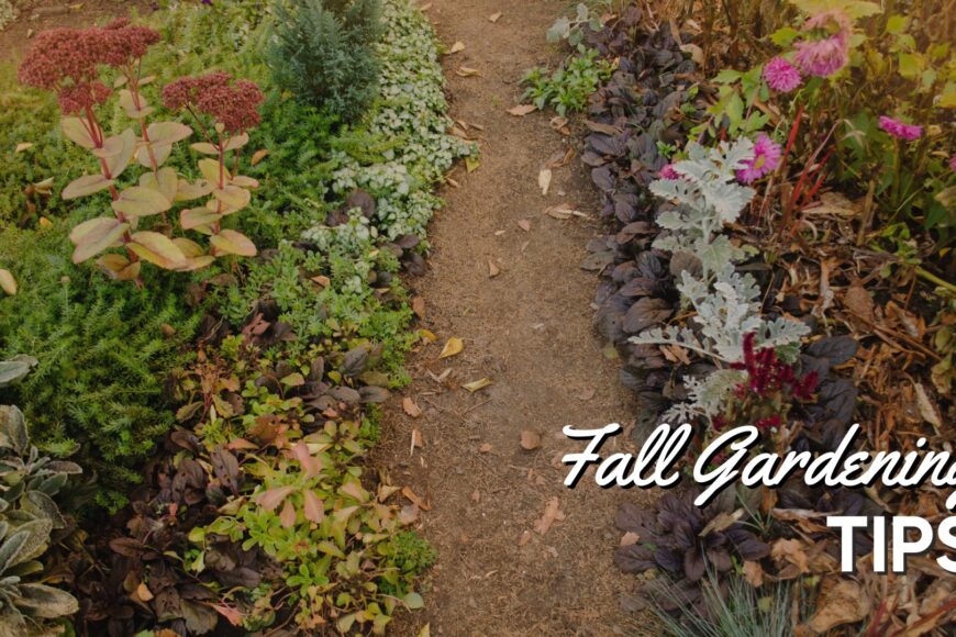Pumpkin Spice and Garden Rakes: Cleanup & Fall Garden Tips