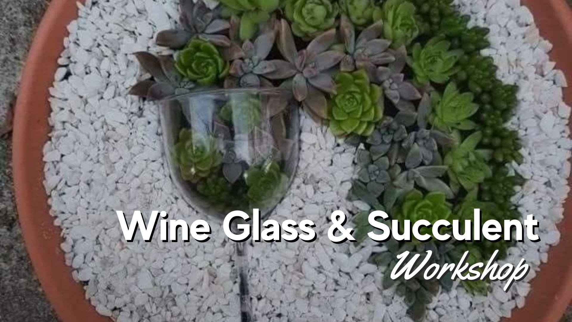 Thomas Wine Glass & Succulent Workshop