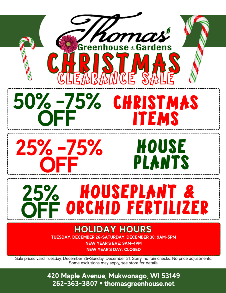 thomas greenhouse and garden center christmas clearance sale
