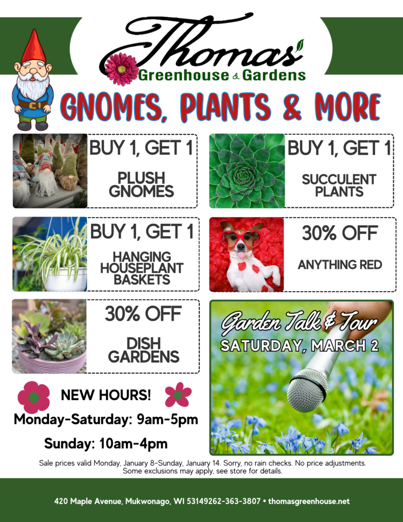 gnomes and plants sale at thomas greenhouse and garden center in mukwonago