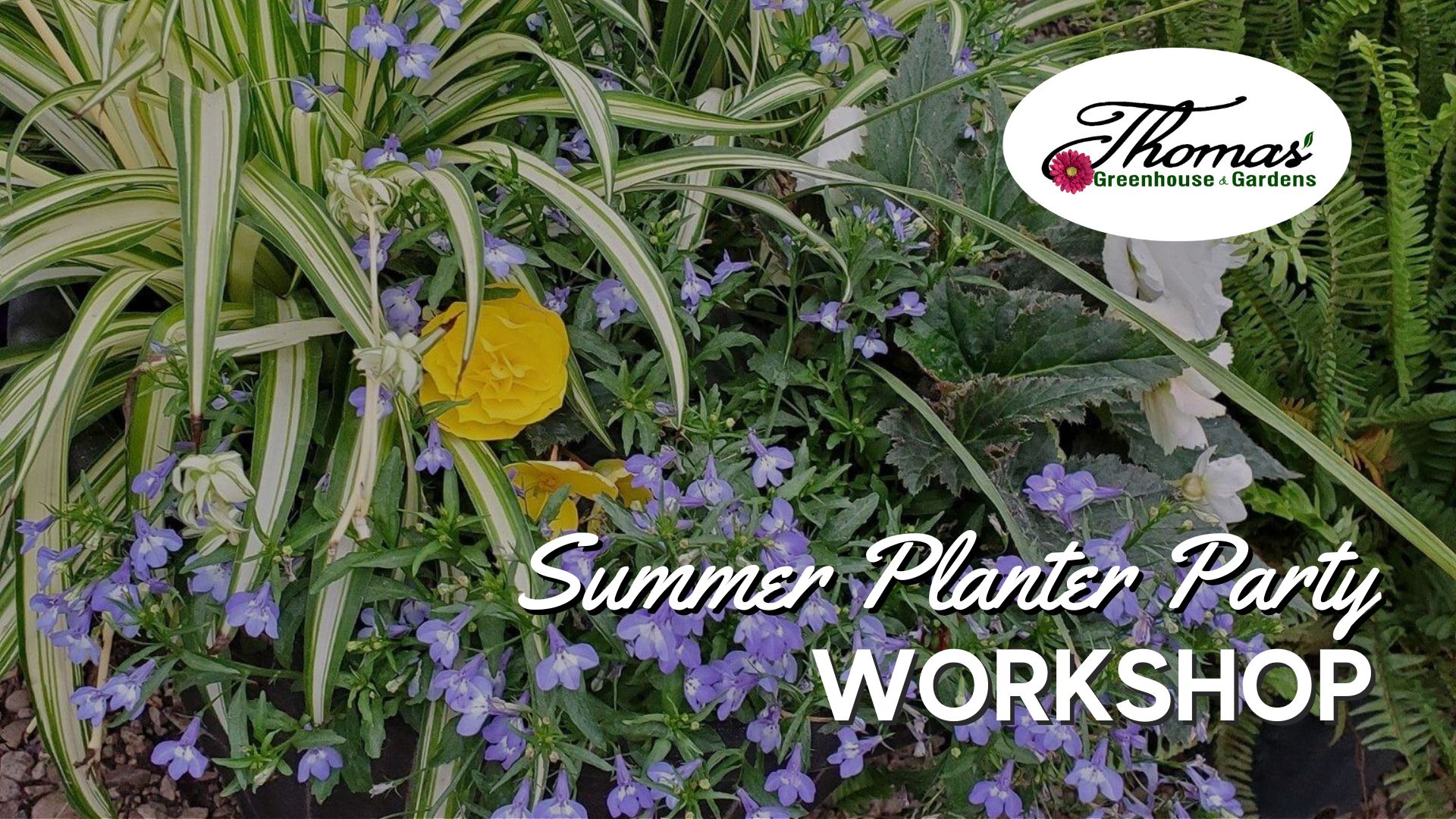 Graphic for Summer Planter Party Workshop