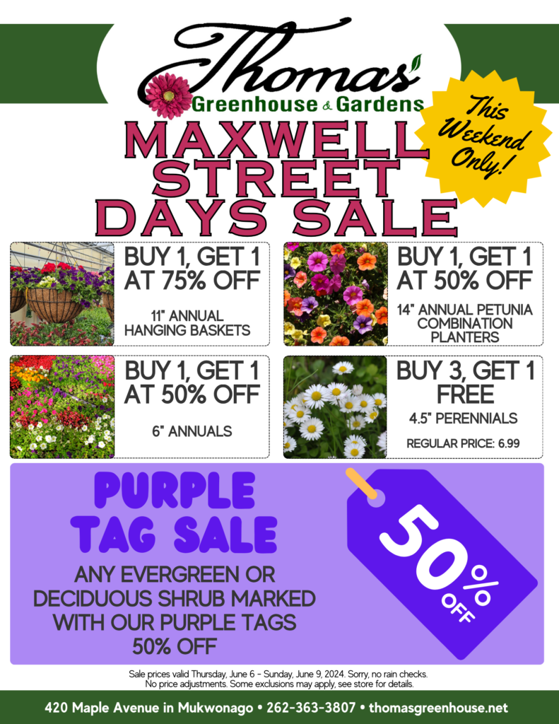 Maxwell Street Days Sale